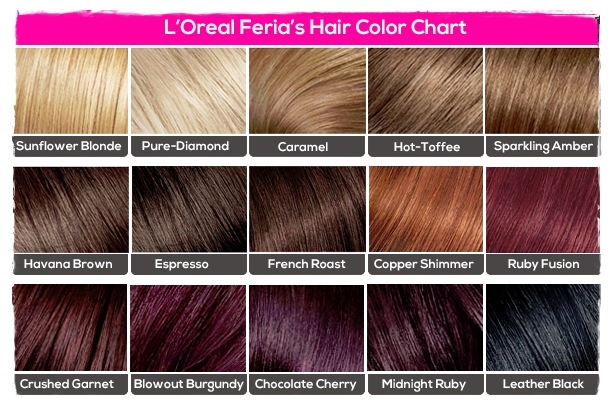 Chocolate Hair Weave Color Chart