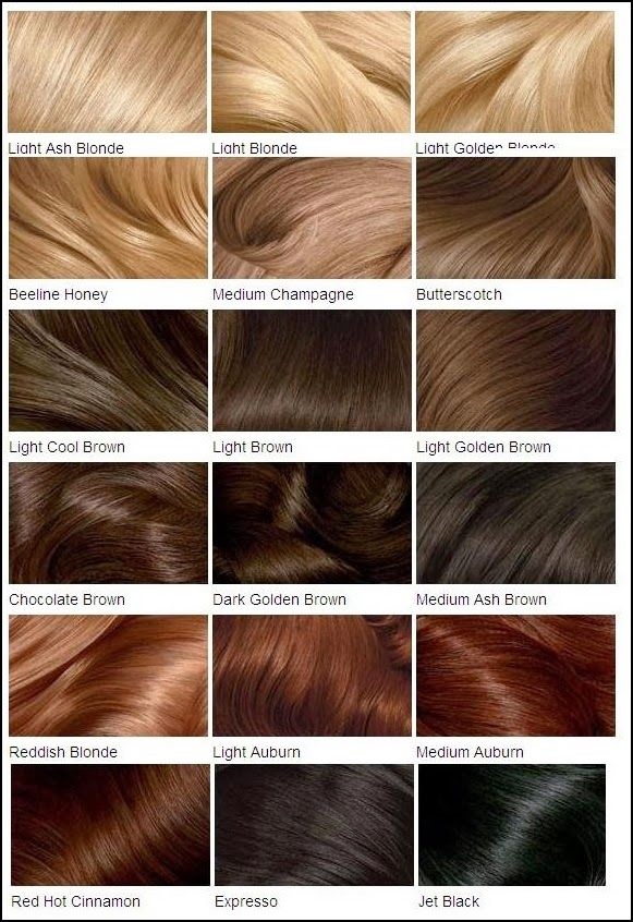 The Wigs and Hair Extensions Colour Guide.